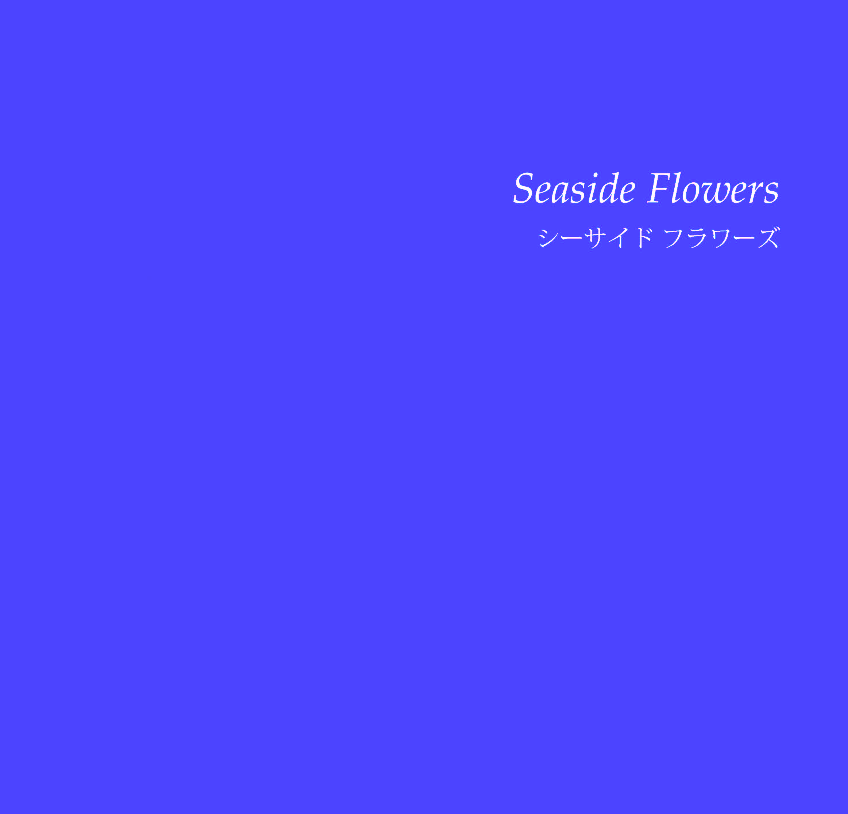 Cp.5 Seaside Flowers|イーダ・ヴァリッキオ