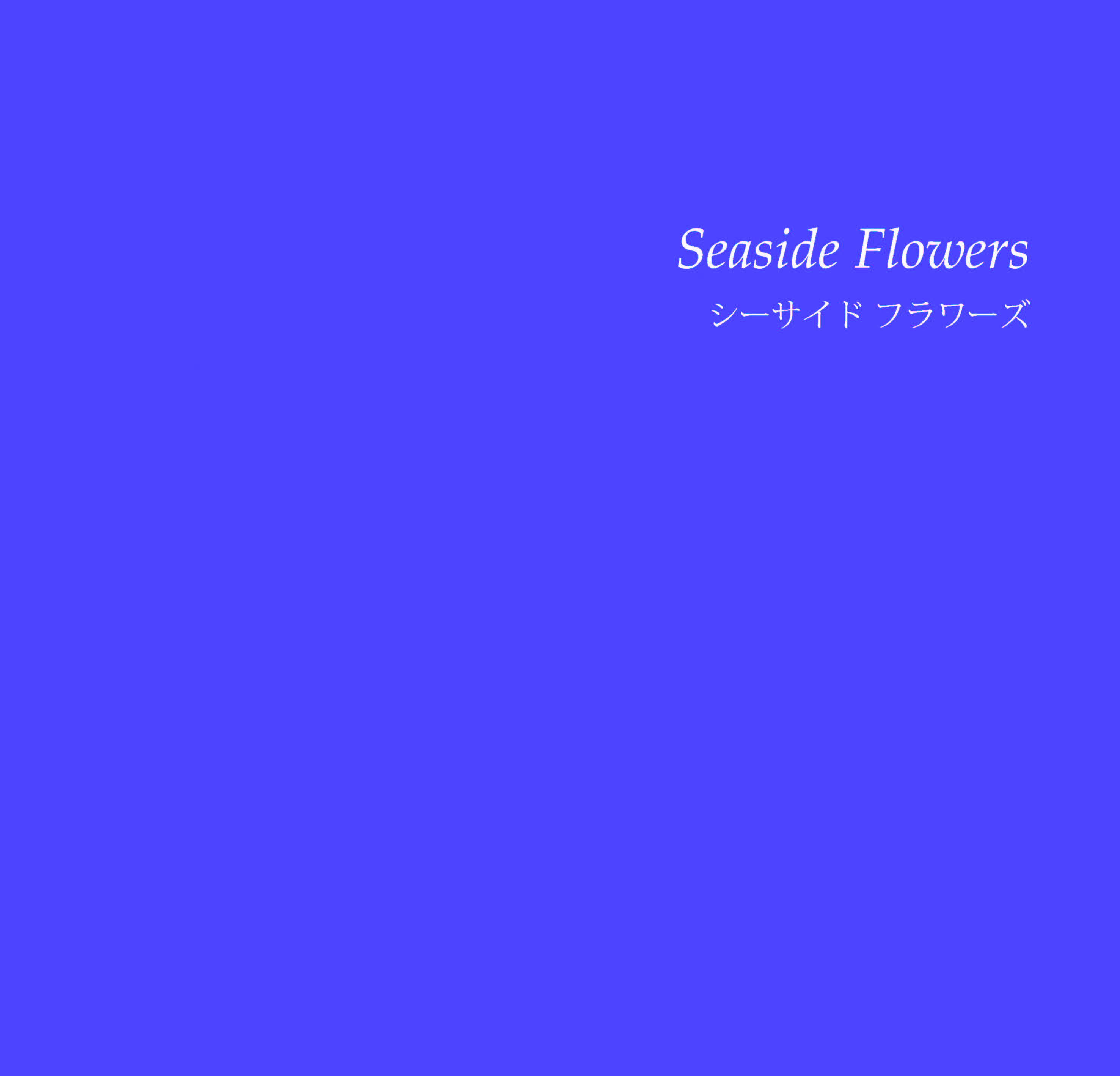 Cp.5 Seaside Flowers|イーダ・ヴァリッキオ