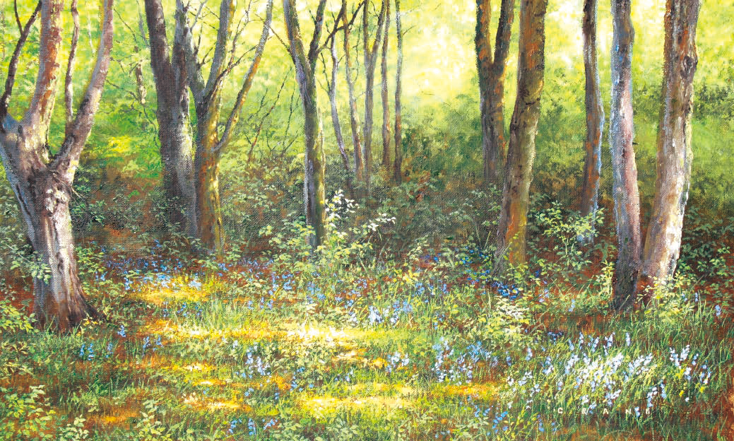 「ブルーベル イン ザ クリアリング」